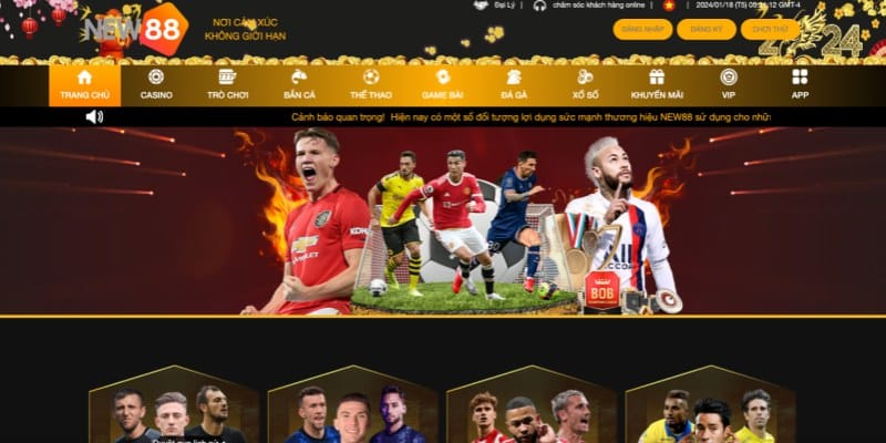 Cá cược Thể Thao New88